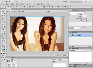 Adobe Fireworks CS6 汉化破解版 电脑图文设计的利器与风险权衡